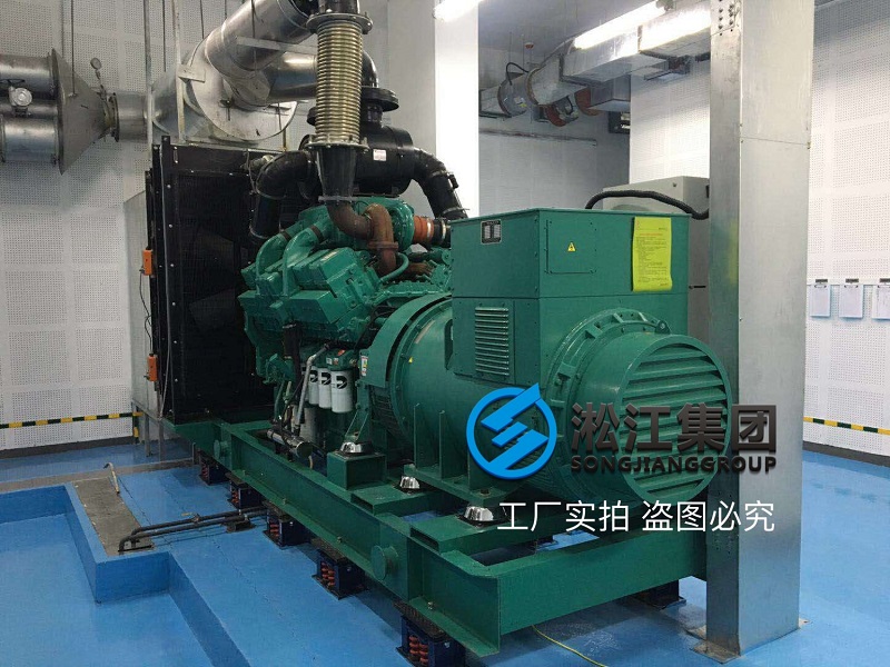 阻尼彈簧減震器大型柴油發(fā)電機安裝案例 阻尼彈簧減震器大型柴油發(fā)電機安裝案例